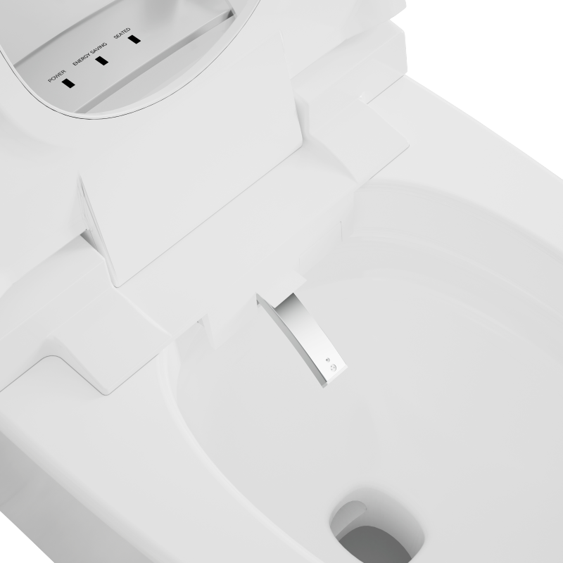 Toilettes intelligentes électriques en céramique intelligentes Lady Clean