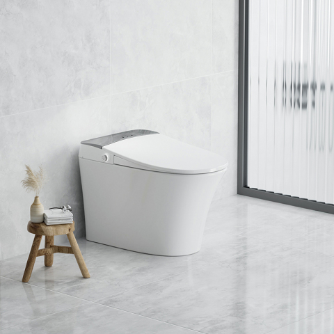 Lady Clean Intelligent Ceramic Electric Smart Toilet