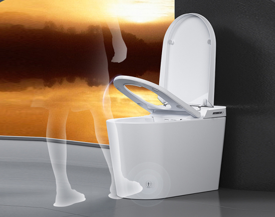 Smart Toilets and Smart Toilet Seat Innovative Technologies for Enhanced Hygiene Experience