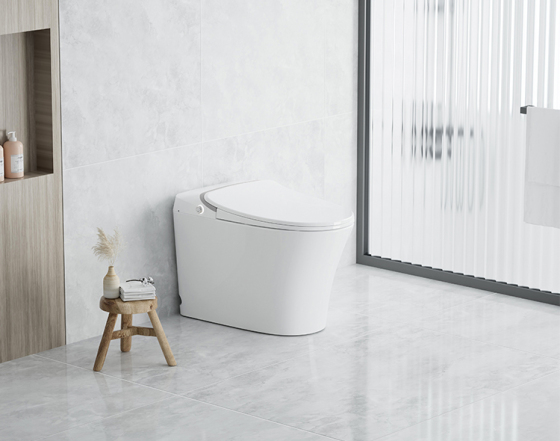The Benefits Of Smart Toilets For Human Health