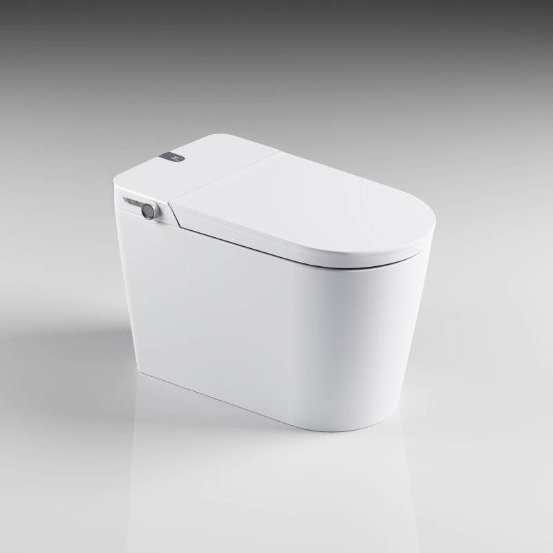 Nhà vệ sinh thông minh lớp bong bóng sang trọng cảm ứng xả nước