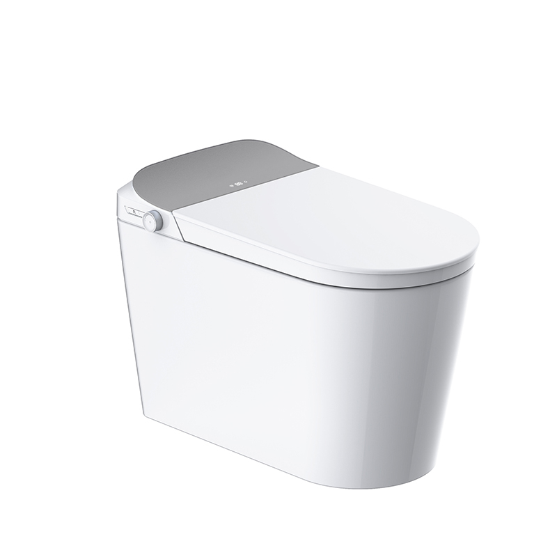 Luxuriöse intelligente E-Schaum-Toilette mit Fernbedienung