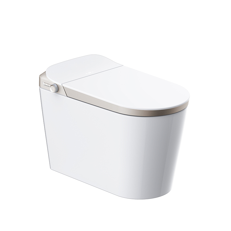Luxuriöse intelligente E-Schaum-Toilette mit Fernbedienung