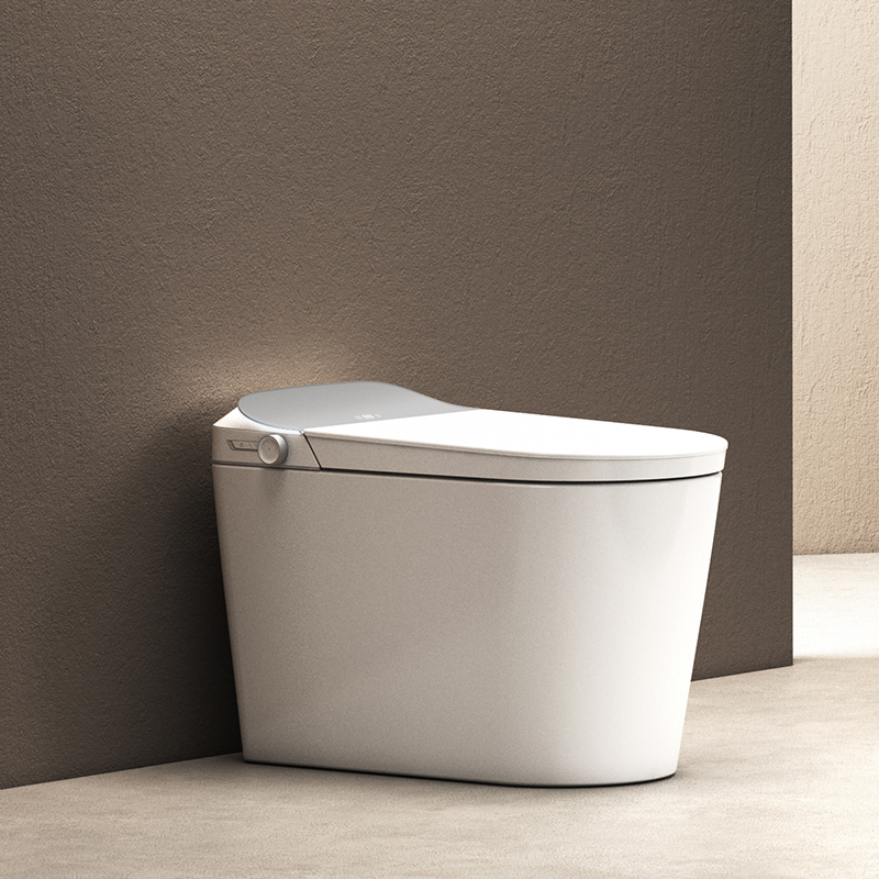 Luxuriöse intelligente E-Schaum-Toilette mit Fernbedienung