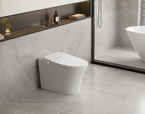 Wealwell Australia Standard Smart Toilette: YC318GE