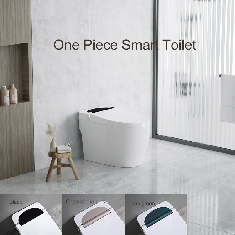 Fashion intelligent toilet