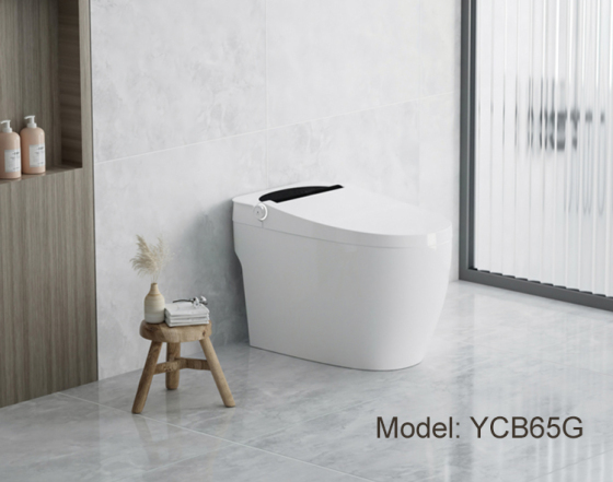 Модное интеллектуальное автоматическое умное биде для унитаза: YCB65G