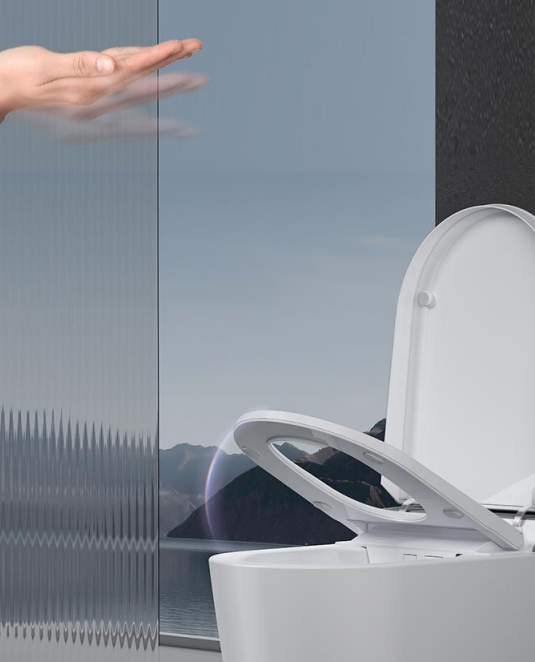 Wealwell intelligent toilet