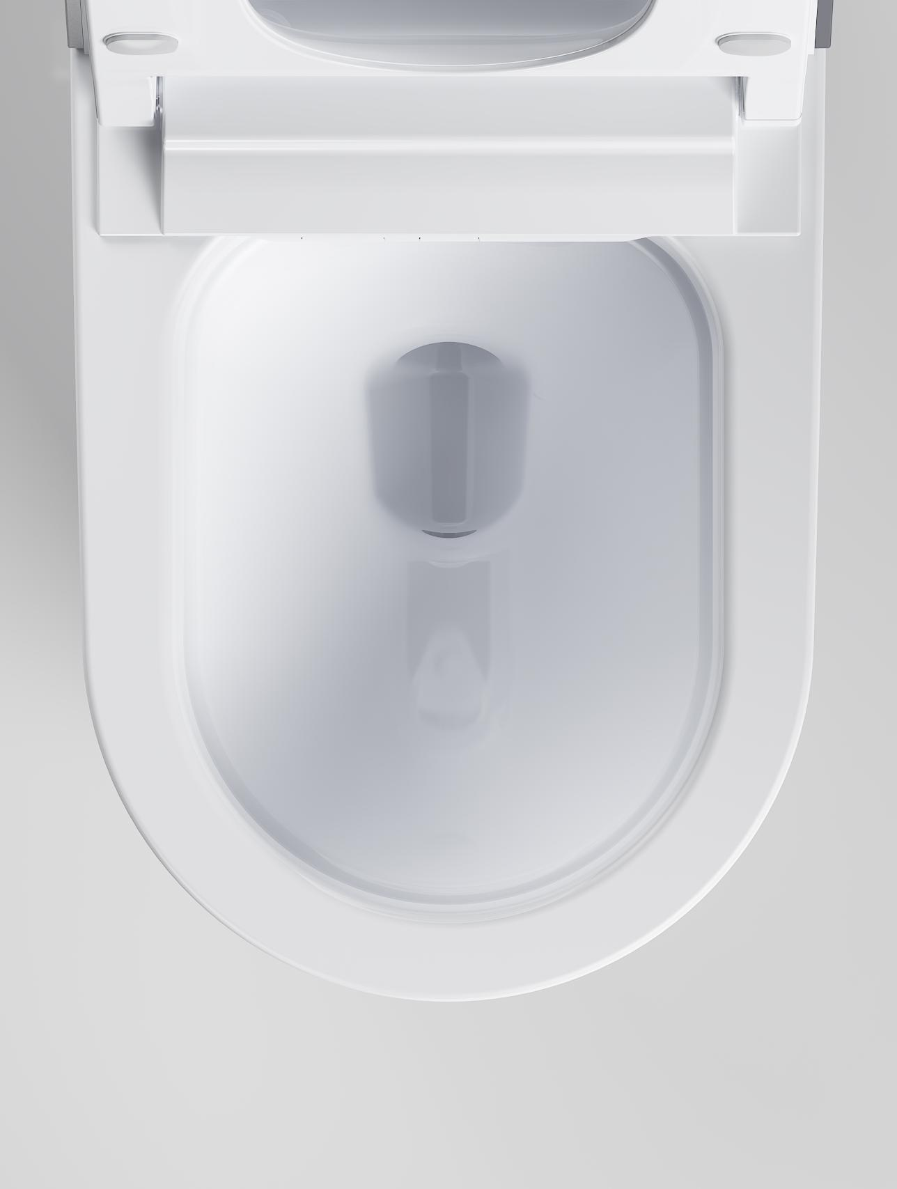 intelligent toilet