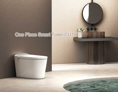 Better Life Brought By Smart Toilet - Wealwell CU14