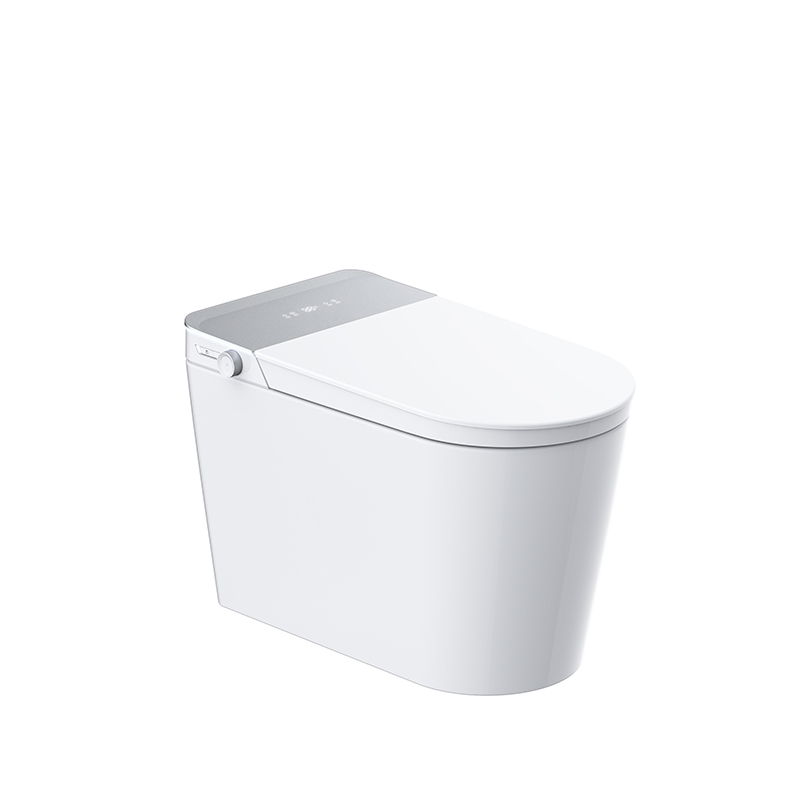 Modern Design Instant Heating Seat Bidet Smart toilet