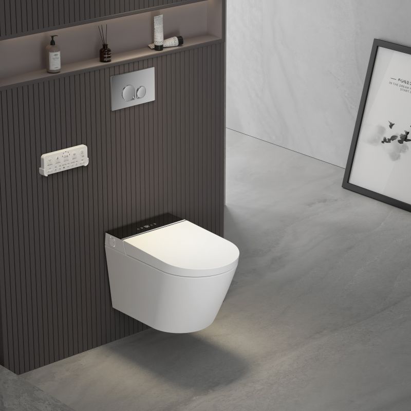 Smart Toilet Selection Guide