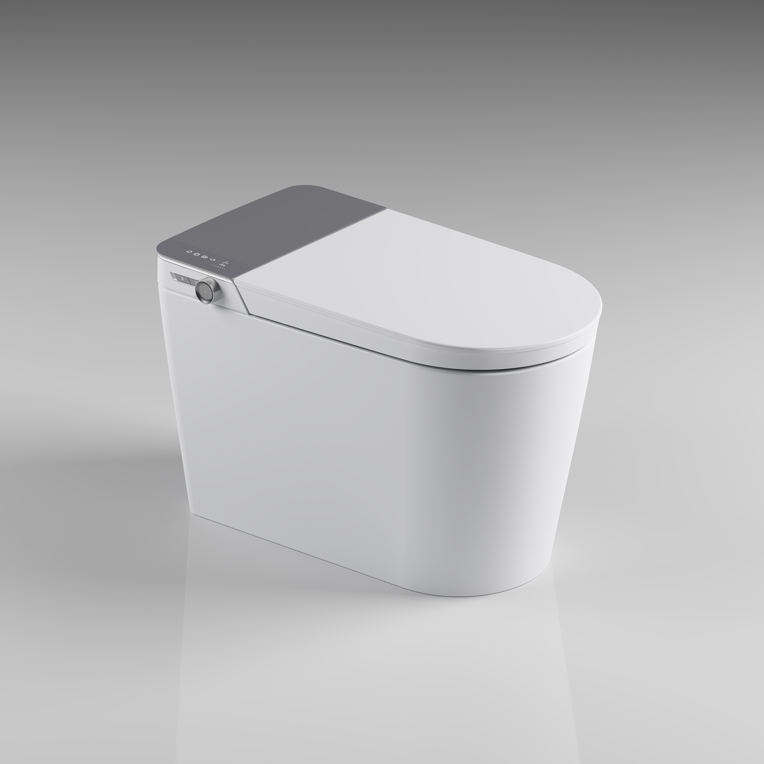 intelligent luxury toilet