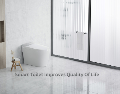 Wealwell: Smart Toilet Improves Quality Of Life