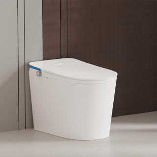 Dual Seat Sensor E Foam Ambient Light Smart Toilet