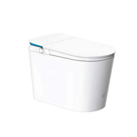 Luxury Smart Toilet