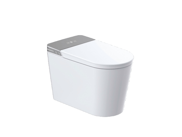 Smart Toilet