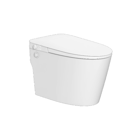 Economy Smart Toilet