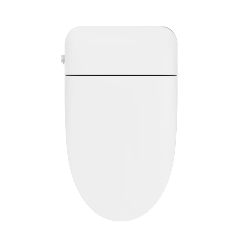 El mejor inodoro bidé no eléctrico para uso doméstico.