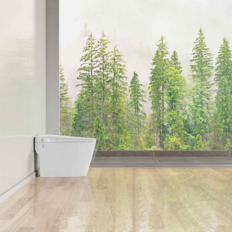 El mejor inodoro bidé no eléctrico para uso doméstico.