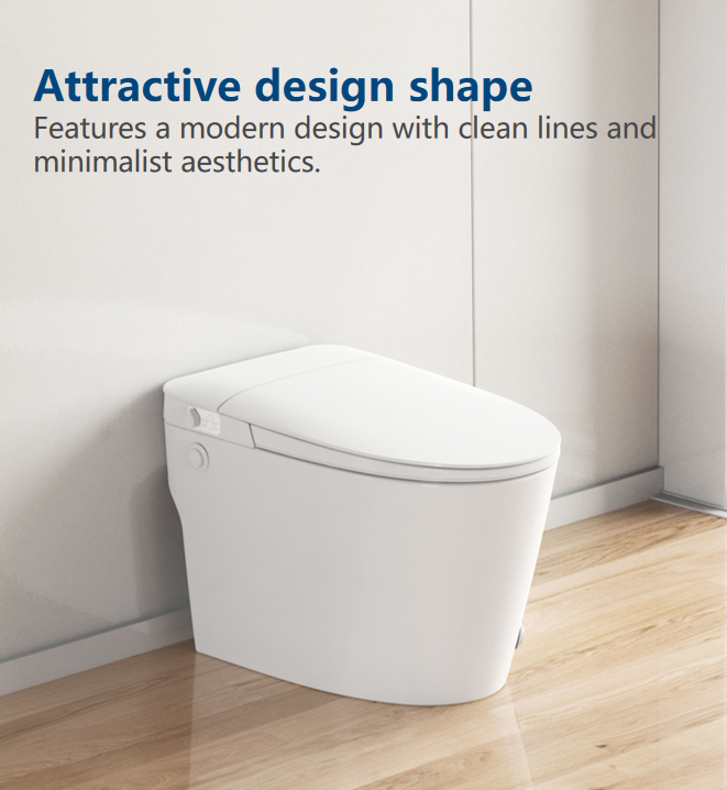 Floor mounted bidet toilet