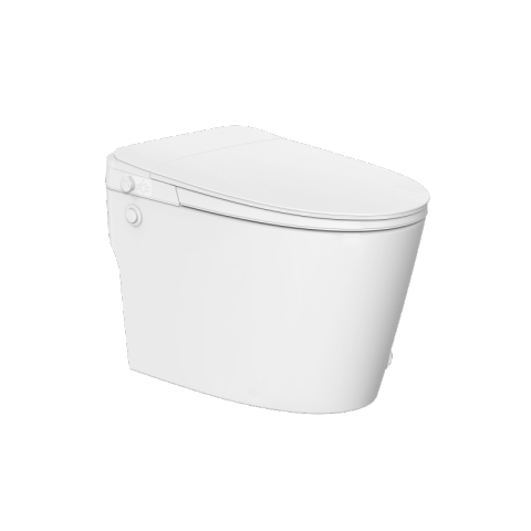 Toilettes bidet non électriques à haute pression