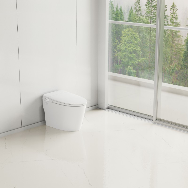 Toilettes bidet non électriques à haute pression