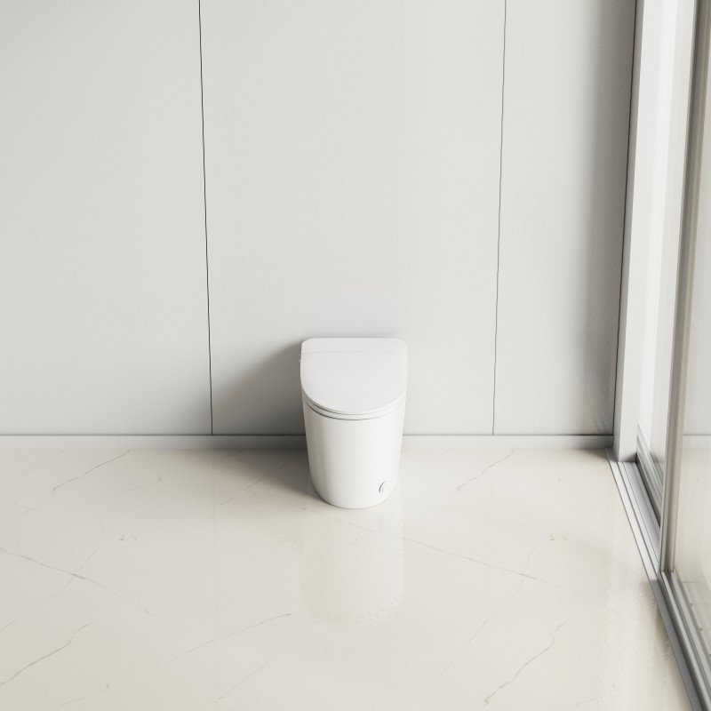 Toilettes bidet non électriques à haute pression