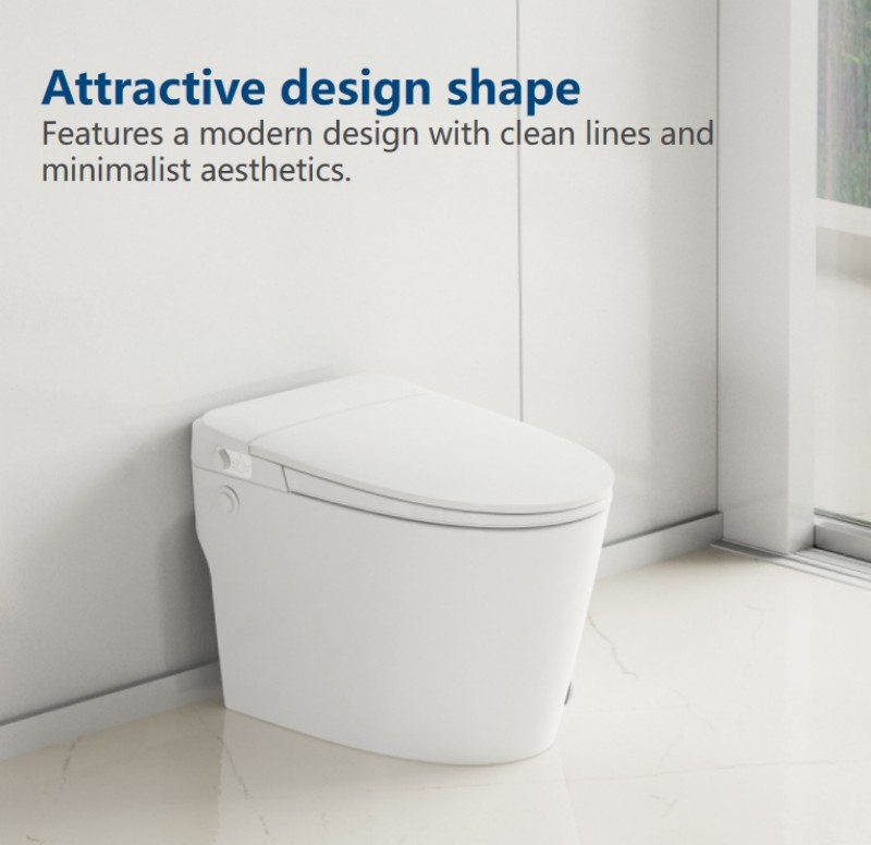 bidet toilet no electricity