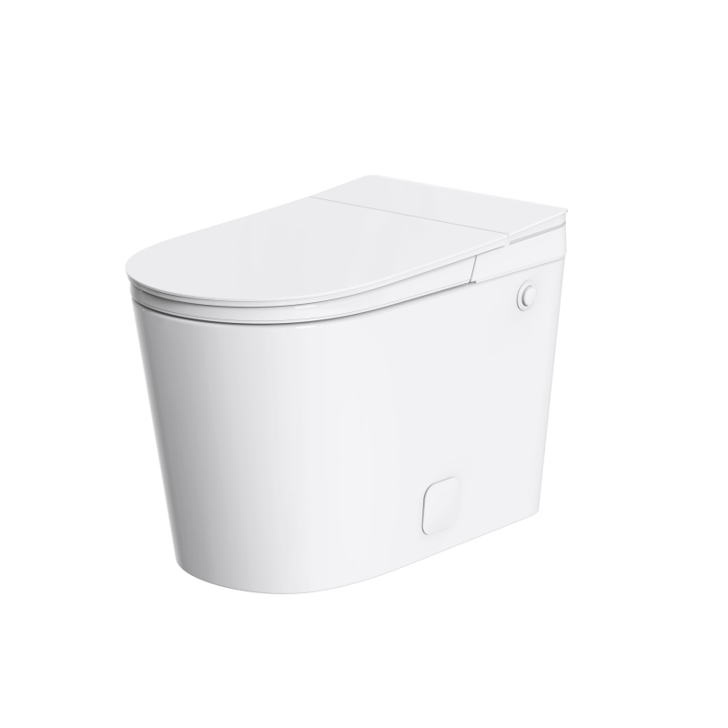 Dual Seat Sensor E Foam Ambient Light One-Piece Smart Toilet