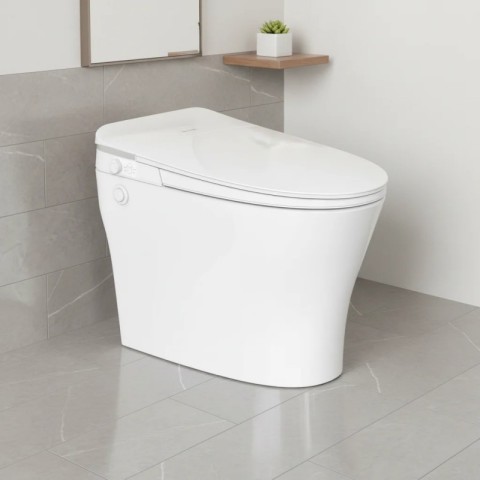 Auto flush and remote control one piece smart toiler