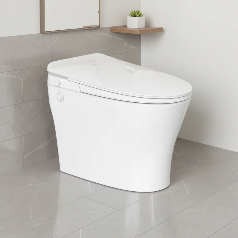Auto flush and remote control one piece smart toiler