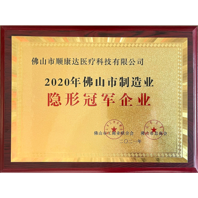Entreprise championne invisible 2020 dans l'industrie manufacturière de Foshan