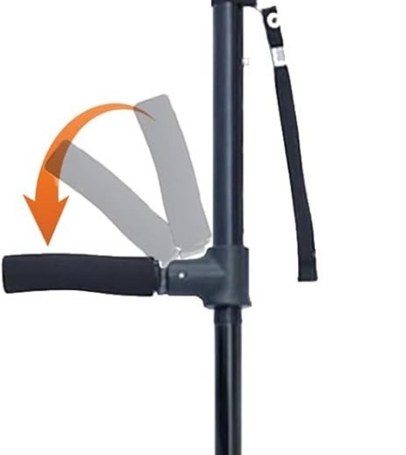 dual handle grip cane