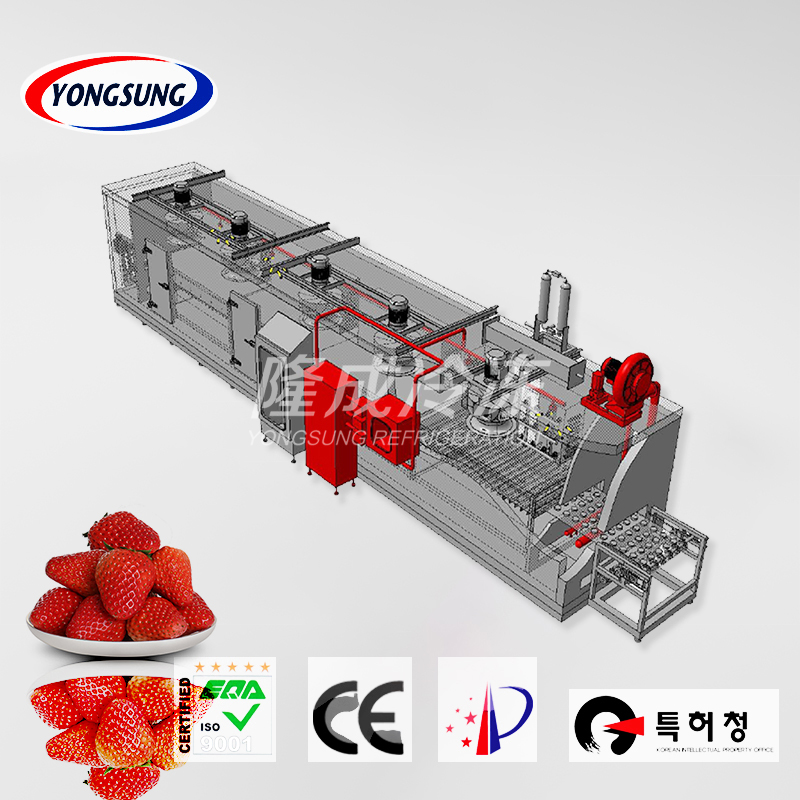 Mesh Belt Tunnel Freezer for Fruits & Vegetables