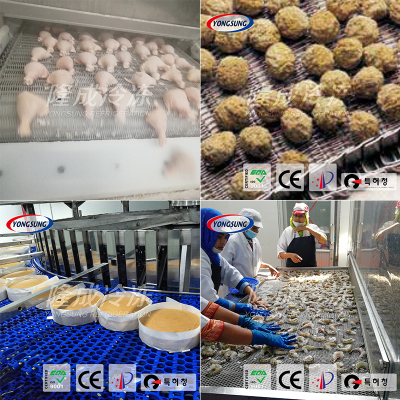 速冻食品的起源、现状和展望