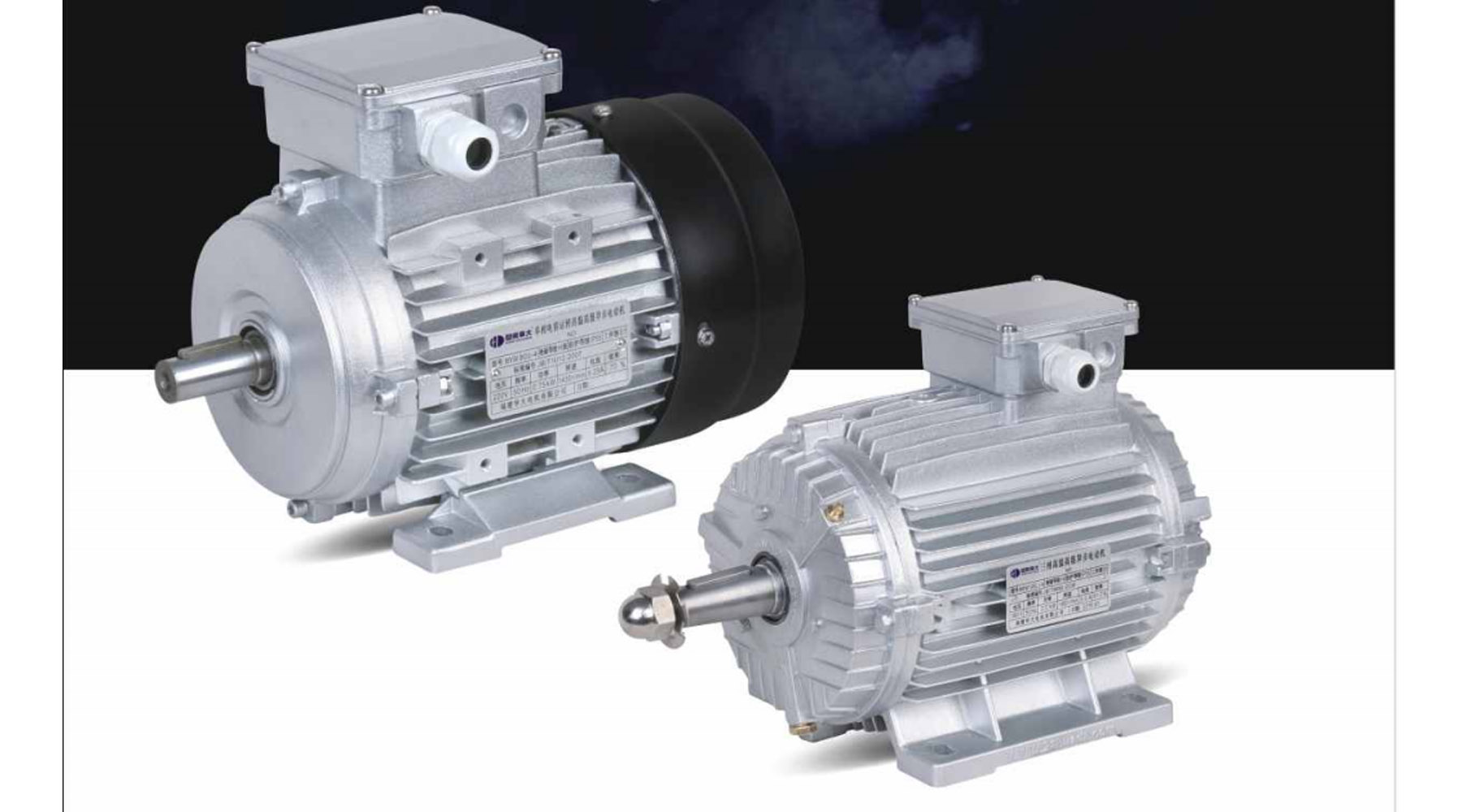 High temperature resistant motor