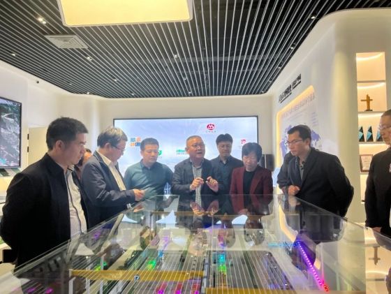 30/2000 Special Action Group to Pengxiang artificial stone to carry out special research
