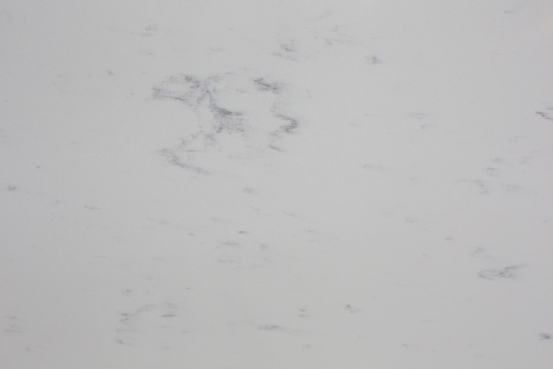 PXQZ313 Pengxiang Artificial Quartz Plate Cut to Size Dinning Table with Competitive Price