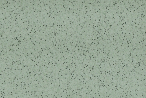 PXS1121 Green Terrazzo without Resin for Outdoor & Indoor Decoration