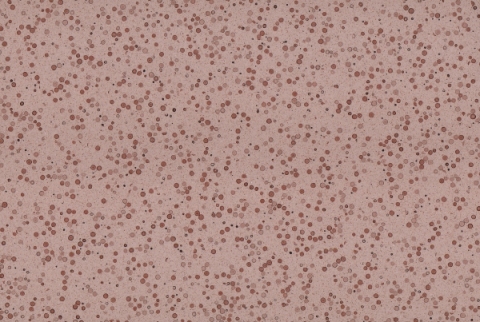 PXS1123 Cement Terrazzo for Villa Apartment Exterior & Interior Floor Wall