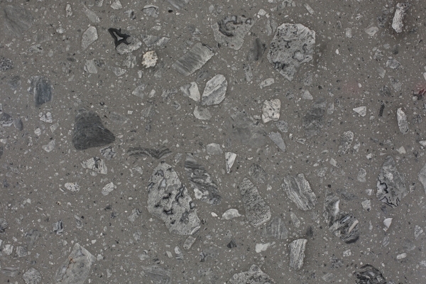 PXS1057 Top Sale Grey Stone Terrazzo Used for Outdoor Wall and Floor Pavement