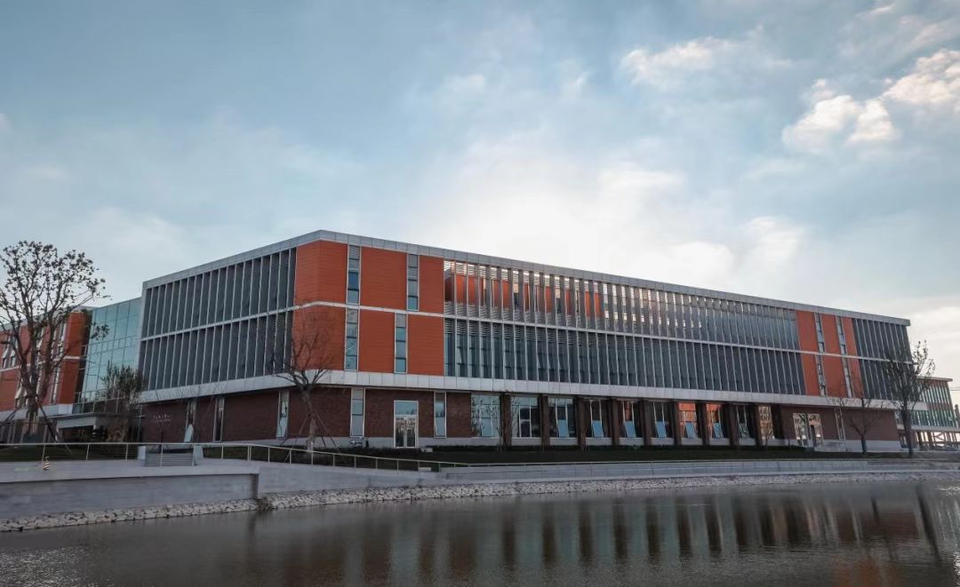 New Artificial Stone Project PX1017&PXS100