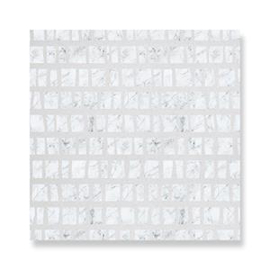 Padrão Irregular Idéias Desenhadas Veias Arte Terrazzo