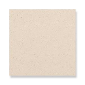 PXS1007 Beige Outdoor Terrazzo Wall Panel Sandblasted Surface for Commercial Project