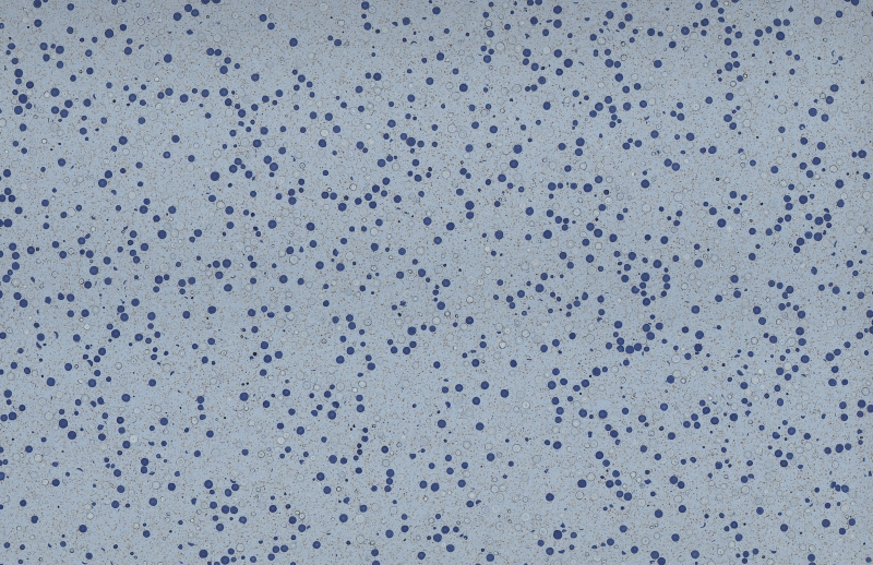 PXS1124 Blue Terrazzo Inorganic Terrazzo Exterior Wall and Flooring Tiles