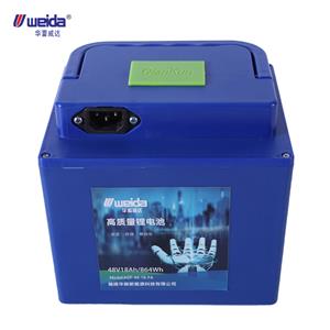 Batería de almacenamiento portátil para exteriores de 48 V