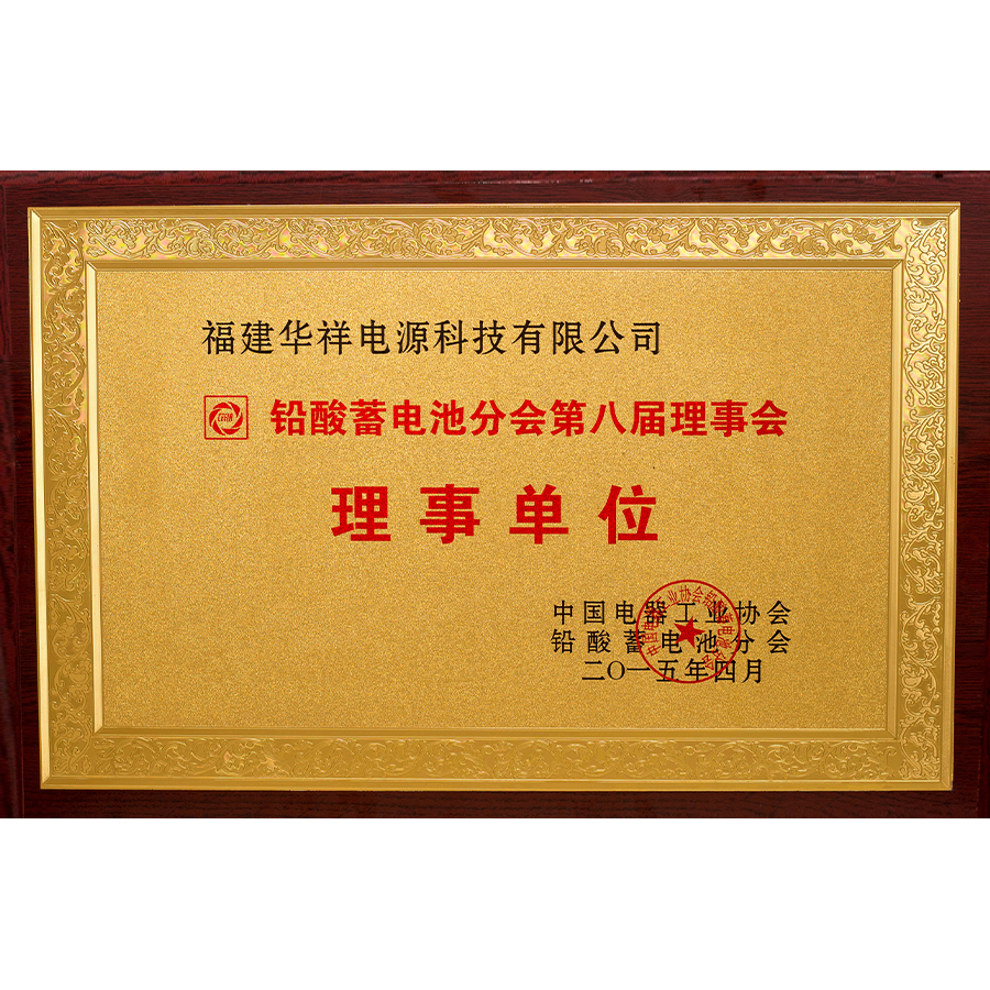 Fujian Huaxiang Power Supply Technology Co., LTD. Lead-acid battery branch of the eighth council member units