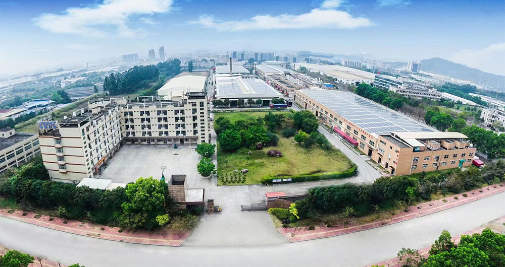 The company environment