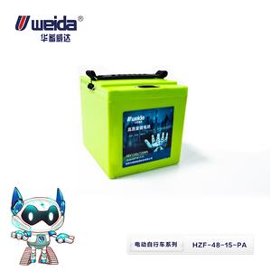 48V电动自行车锂电池